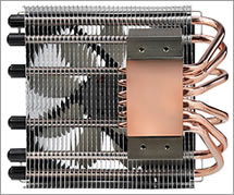 ISGC-100