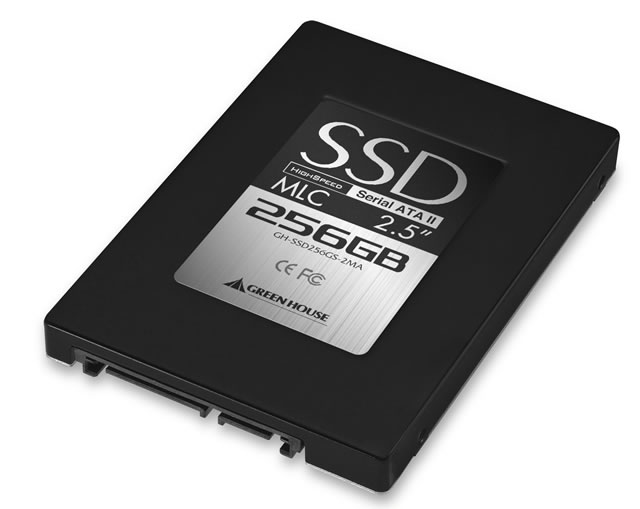 GH-SSD256GS-2MA