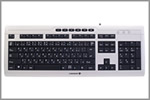 G85-23110JAAASF