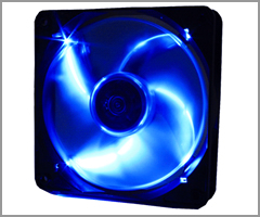 WING 12 PL (blue)
