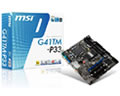 G41TM-P33