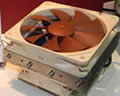 Noctua