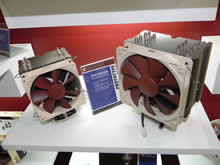 Noctua