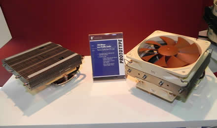 Noctua