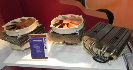 Noctua