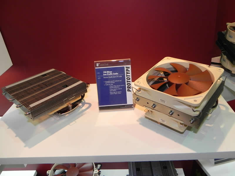 Noctua
