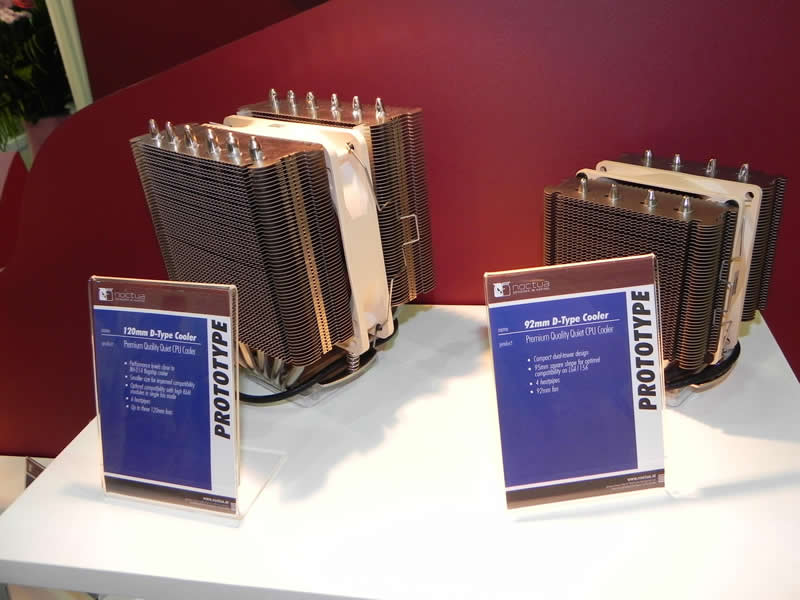 Noctua