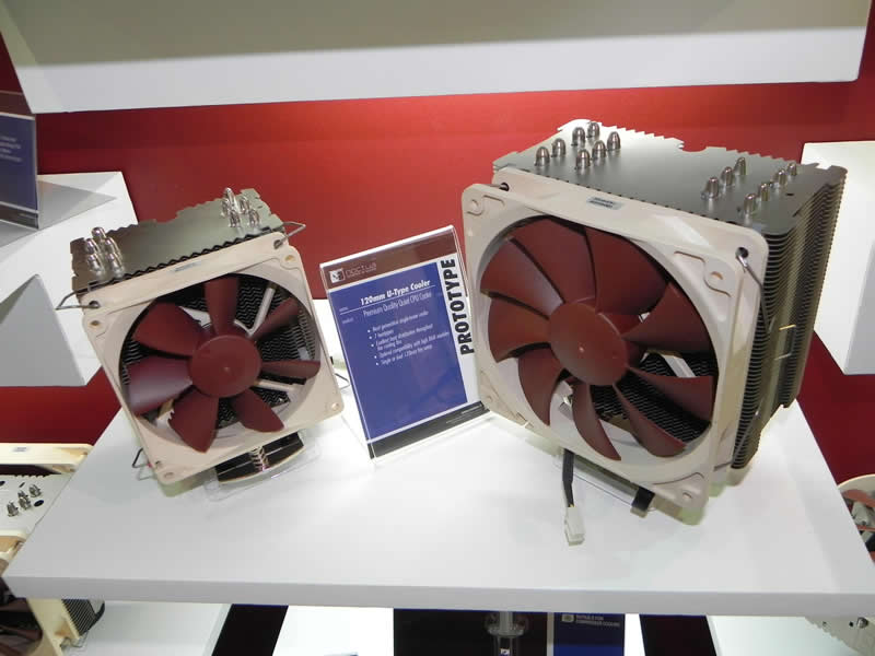 Noctua