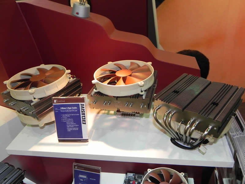 Noctua