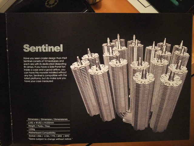 Sentinel
