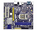 P55MX
