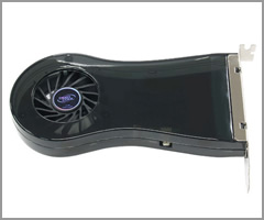 XFAN5