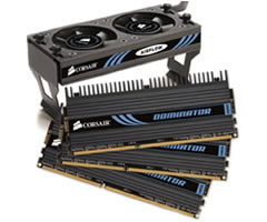 DOMINATOR