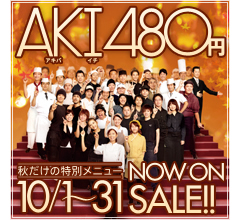 AKI480