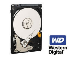 WD