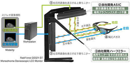 RadiForce GS521-ST