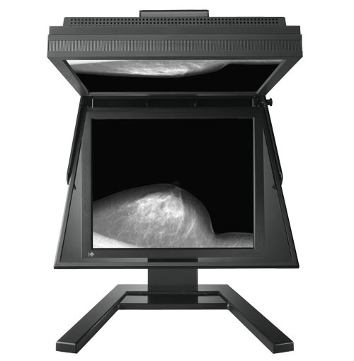 RadiForce GS521-ST