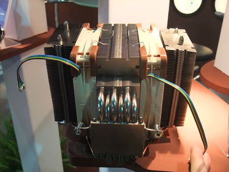 Noctua