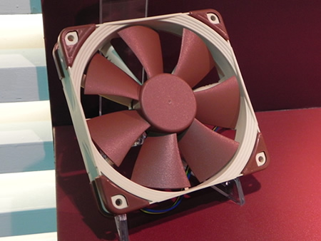 Noctua