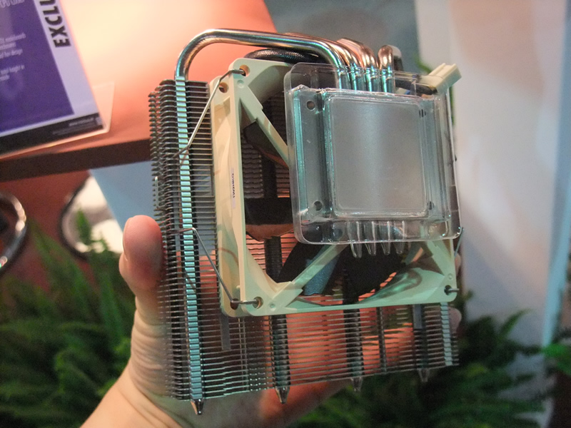 Noctua