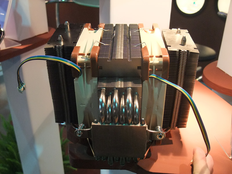 Noctua