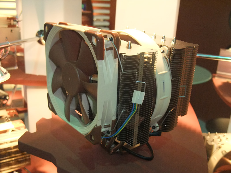 Noctua