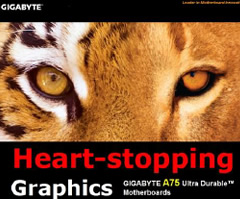 GIGABYTE