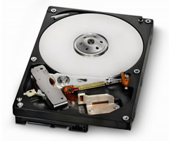 Deskstar 7K1000.D