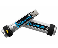 Survivor
