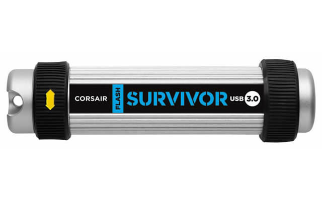 Survivor