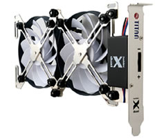 Dual X Holder