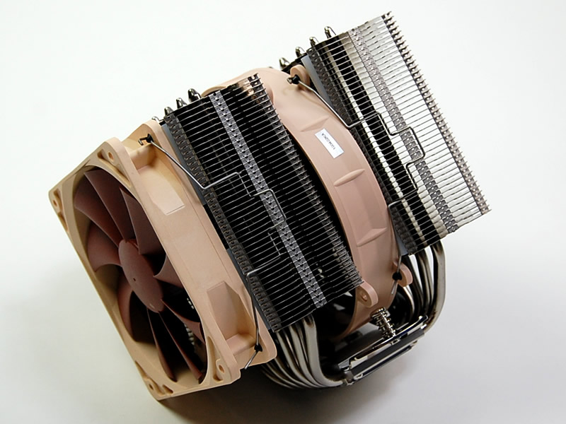 Noctua