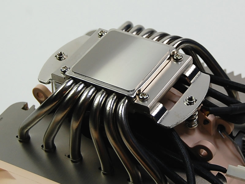 Noctua