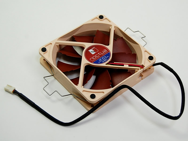 Noctua