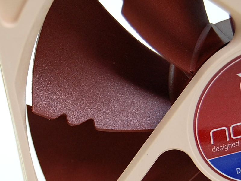 Noctua