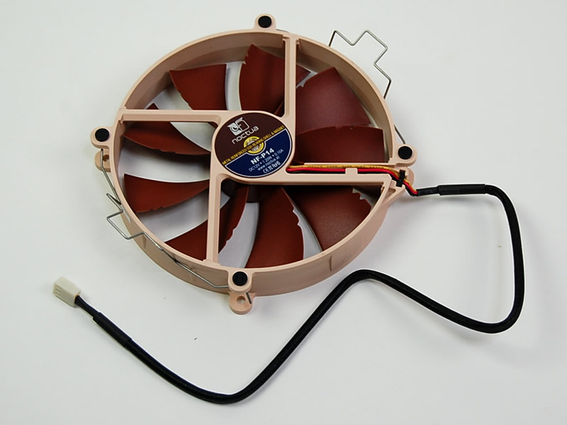 Noctua