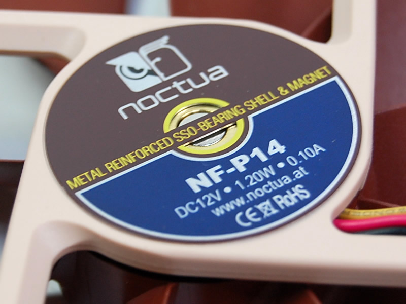 Noctua