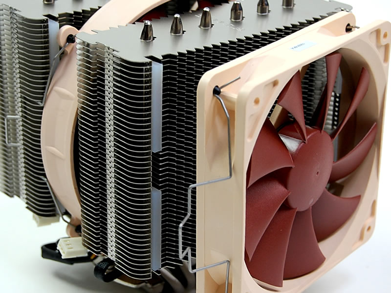 Noctua