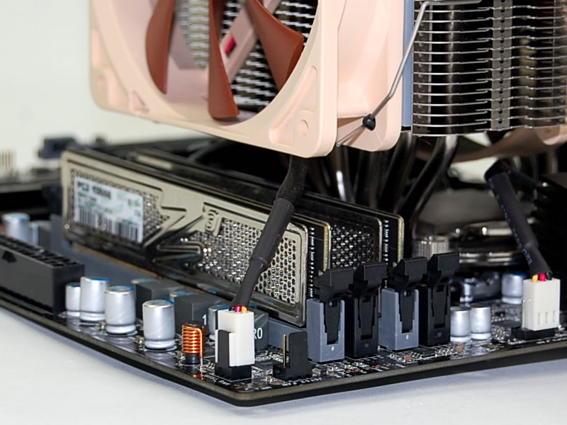 Noctua