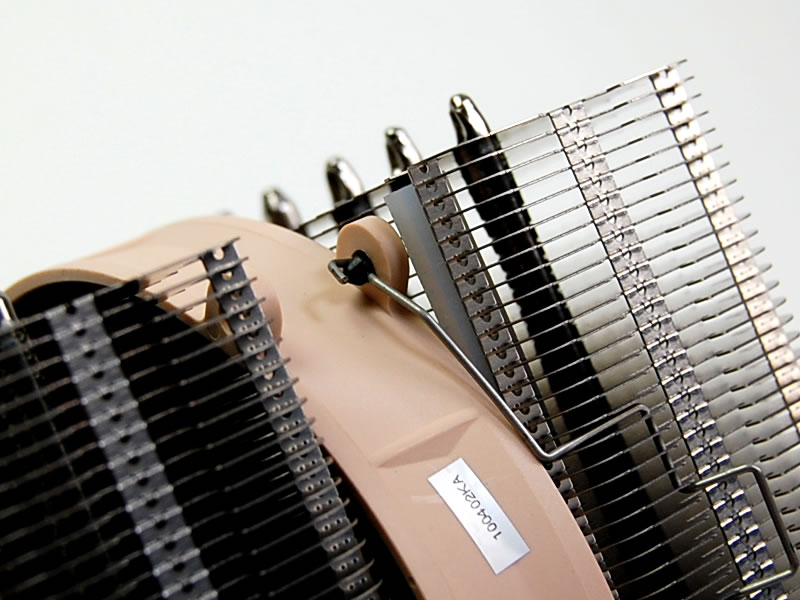 Noctua