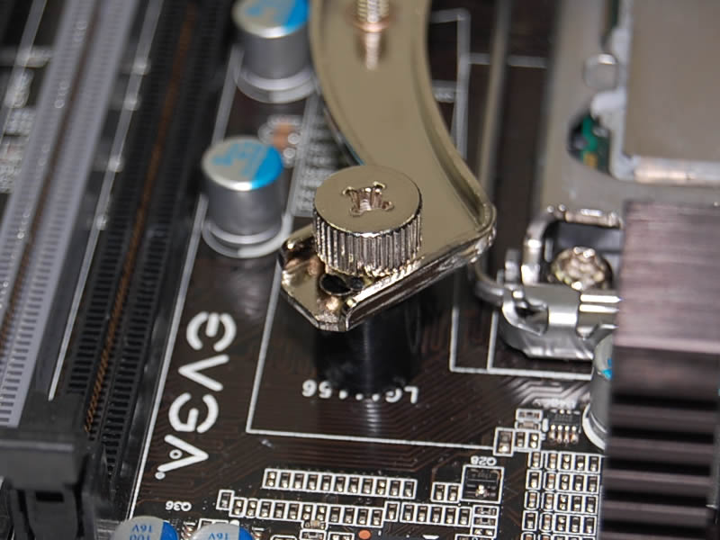 Noctua
