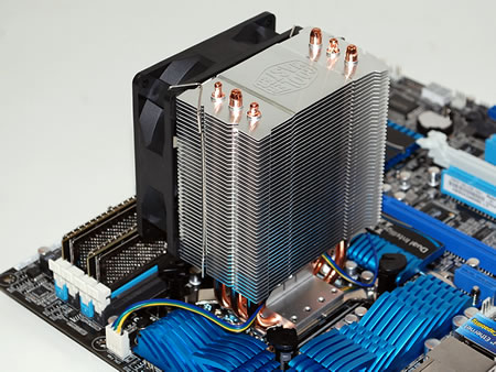 Noctua