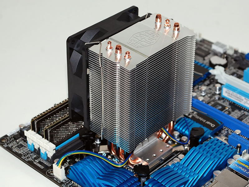 Noctua