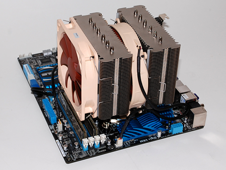 Noctua