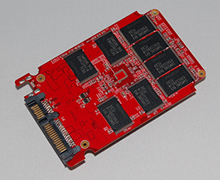 G-Monster2 SFV1