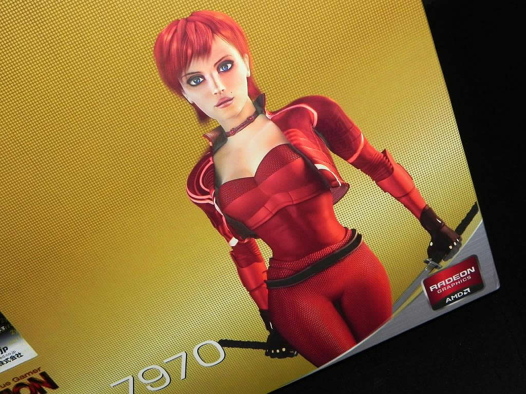 同社の資料にも所々に登場する「Ruby」。“ATI時代”にはよくお目にかかった彼女だが、最近ではすっかりご無沙汰気味。ところがVTX3D製グラフィックスカードでは、まさに大活躍といったところである