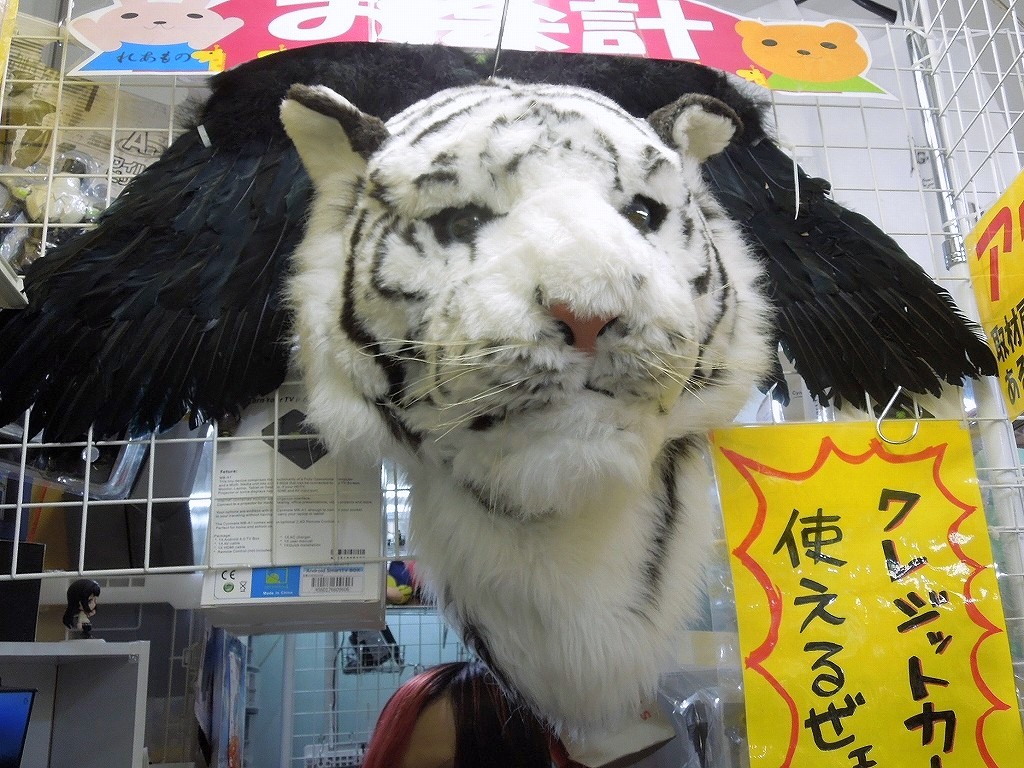 サンコーの守護神