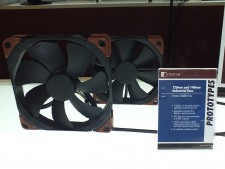 Noctua