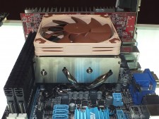 Noctua