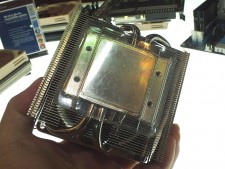 Noctua